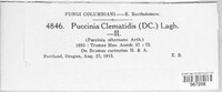 Puccinia clematidis image